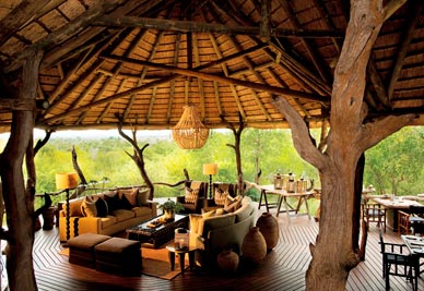 Green Route Africa: Lounge